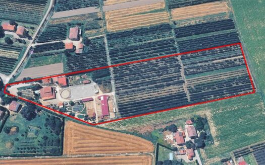 Via s. bernardino, 430 San Cesario sul Panaro (MO)