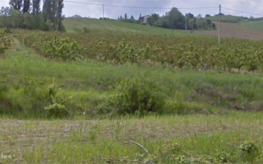 via Ponticelli Pieve, snc Imola (BO)
