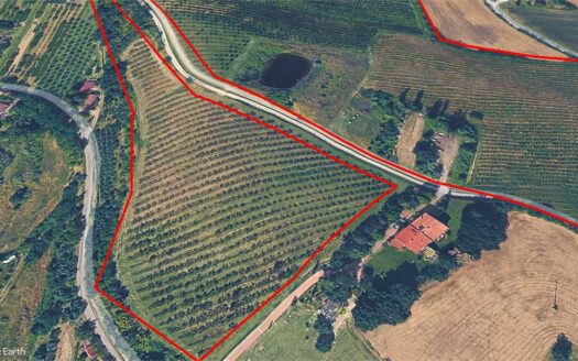 via Ponticelli Pieve, snc Imola (BO)